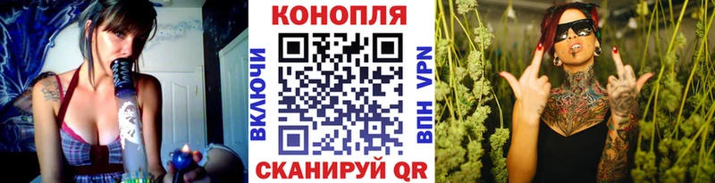 наркота  Сурск  Канабис индика 